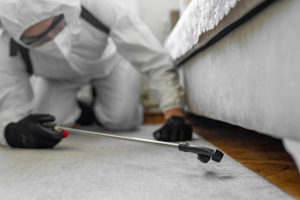 Professional Bed Bug Control technician working in Holladay, UT