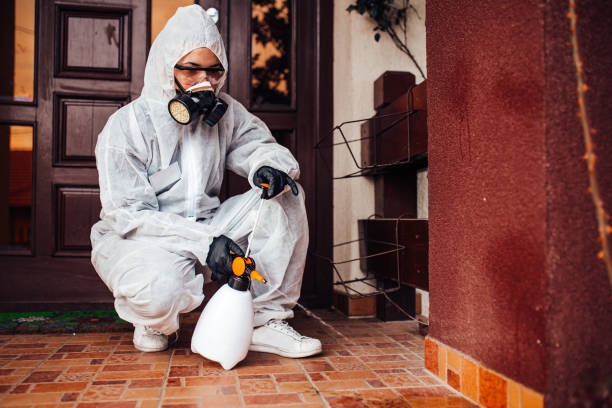 Reliable Bed Bug Control contractor in Holladay, UT by Nex Pest Control